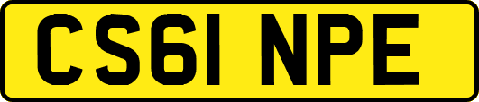 CS61NPE