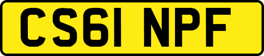 CS61NPF