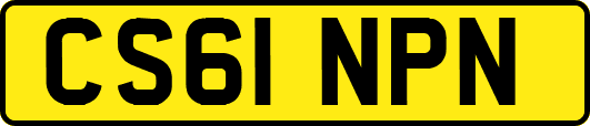 CS61NPN