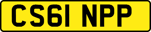 CS61NPP