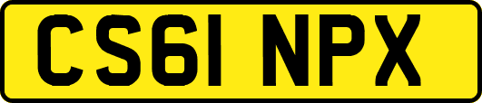 CS61NPX