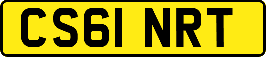 CS61NRT