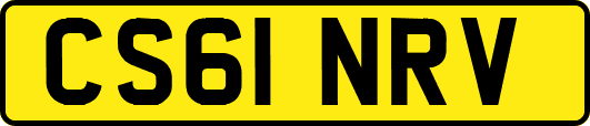 CS61NRV