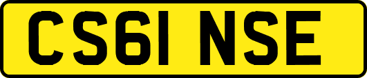 CS61NSE