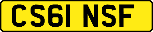 CS61NSF