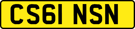 CS61NSN