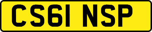 CS61NSP