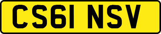 CS61NSV