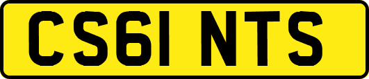 CS61NTS