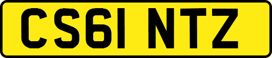 CS61NTZ