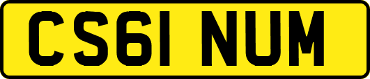 CS61NUM