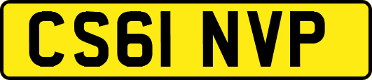 CS61NVP