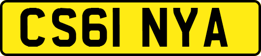 CS61NYA