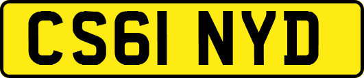 CS61NYD
