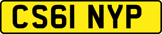 CS61NYP