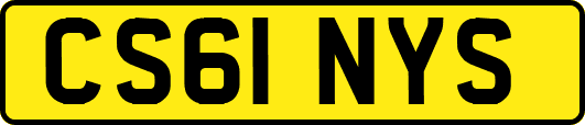 CS61NYS