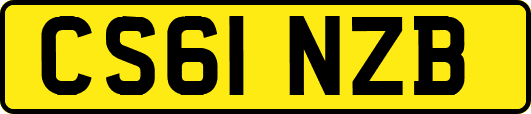 CS61NZB