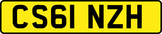 CS61NZH
