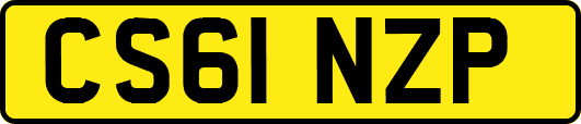 CS61NZP