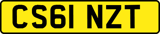 CS61NZT
