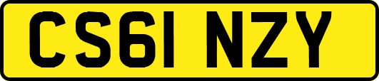 CS61NZY