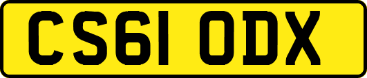 CS61ODX
