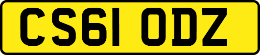 CS61ODZ