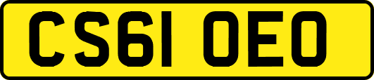 CS61OEO