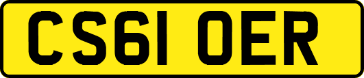 CS61OER