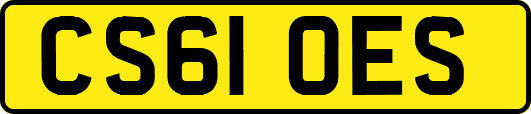 CS61OES