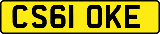CS61OKE