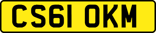 CS61OKM