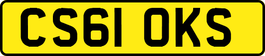 CS61OKS