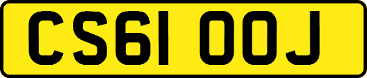 CS61OOJ