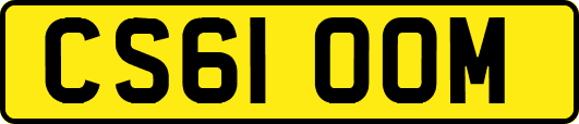 CS61OOM