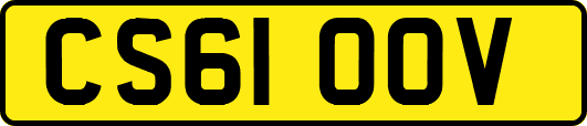 CS61OOV