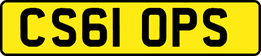 CS61OPS