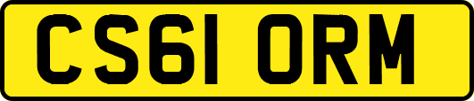 CS61ORM