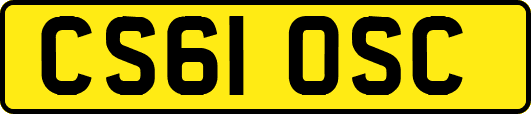 CS61OSC