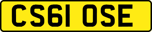 CS61OSE