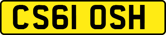 CS61OSH