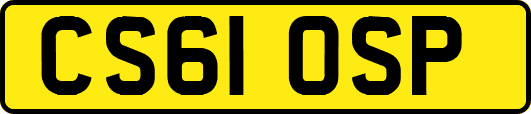 CS61OSP