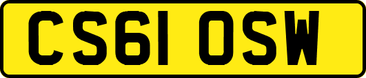 CS61OSW