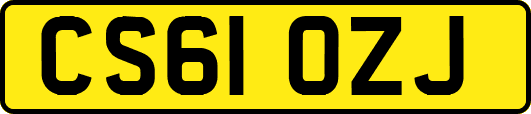 CS61OZJ