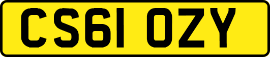 CS61OZY