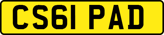 CS61PAD