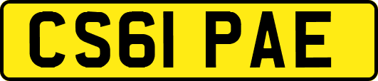 CS61PAE