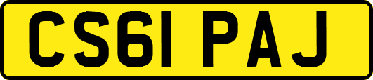 CS61PAJ
