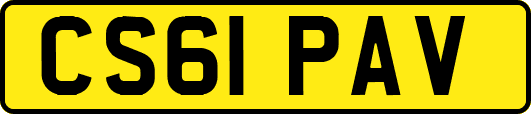 CS61PAV