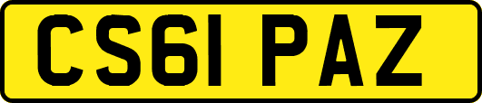 CS61PAZ